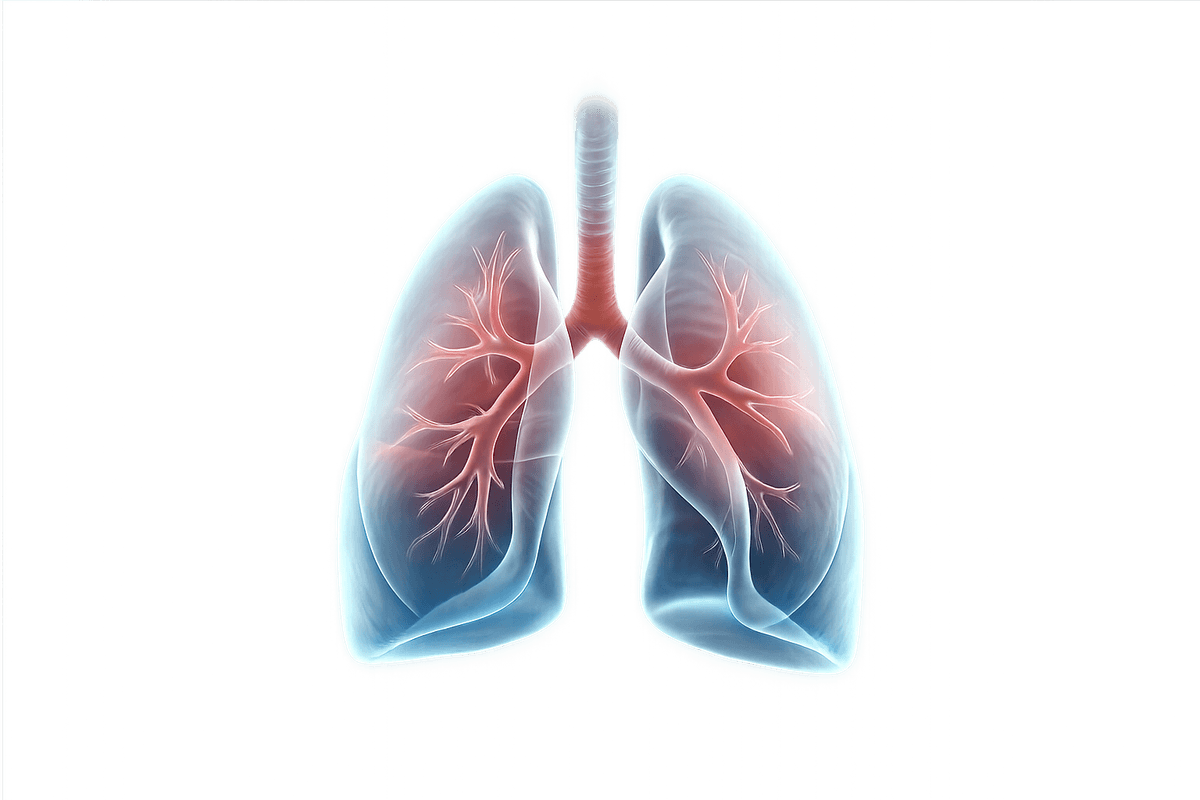 Animated lung illustration